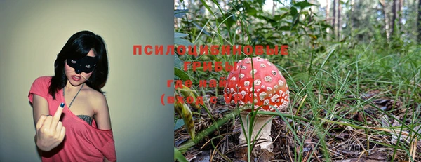 ALPHA-PVP Осинники