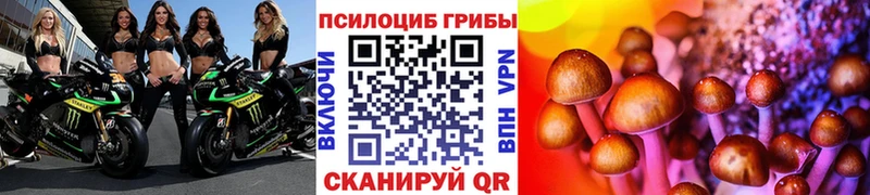 как найти закладки  Кострома  МЕГА зеркало  Галлюциногенные грибы мухоморы 