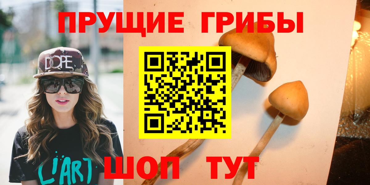Псилоцибиновые грибы мицелий Кострома