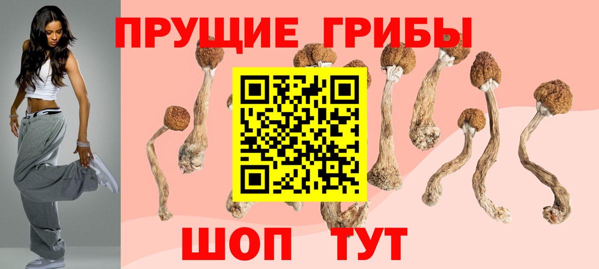 Кострома  Галлюциногенные грибы MAGIC MUSHROOMS  Галлюциногенные грибы Psilocybe  Вход с VPN 
